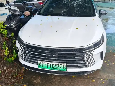 BYD Destroyer 05