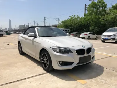 BMW 2 Series (Import)