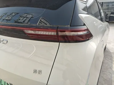 BYD Seagull