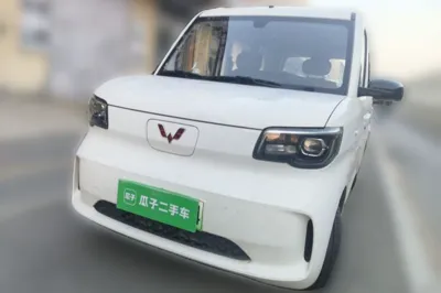 Wuling Zhiguang New Energy