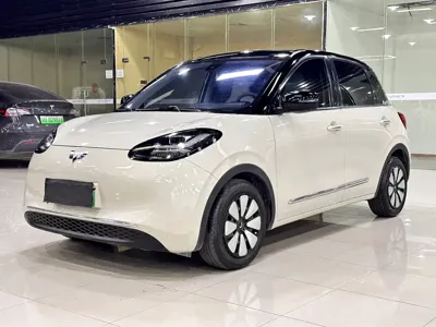 Wuling Bingo