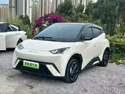 BYD Seagull