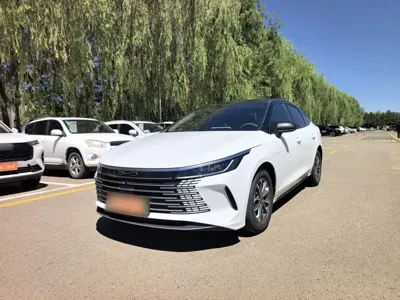 BYD Destroyer 05