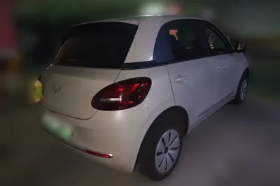 Wuling Bingo