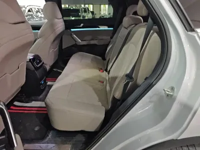 BYD Tang New Energy