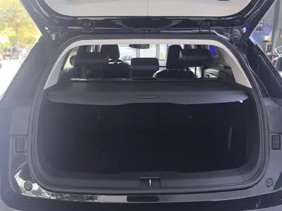 WEY Wey VV6