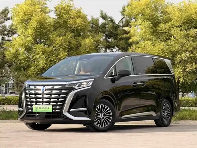 Denza Denza D9