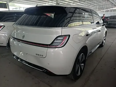 Baojun Yunduo