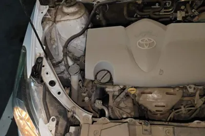 Toyota Vios