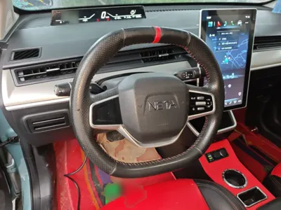 NETA V