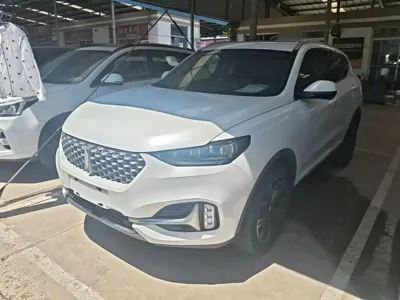 WEY Wey VV6