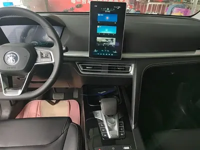 BYD Pro