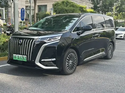 Denza Denza D9