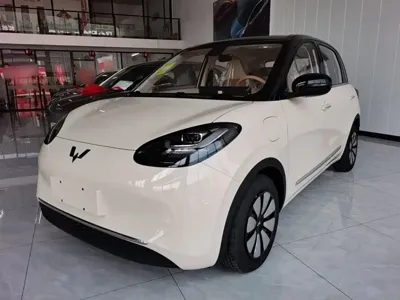 Wuling Bingo
