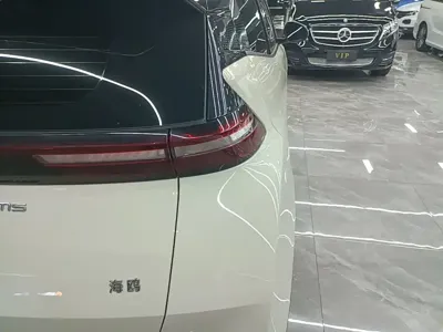 BYD Seagull