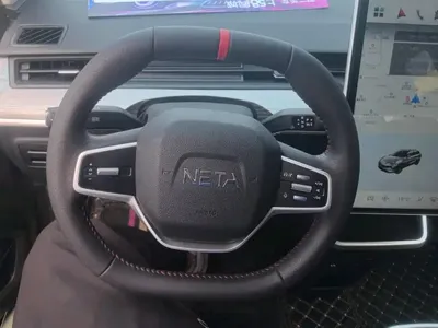 NETA Neta V