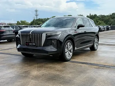 Hongqi Hongqi E-HS9