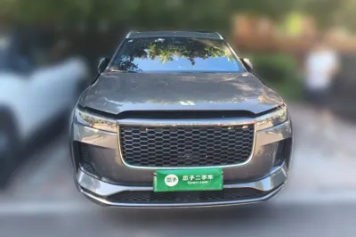 Li Auto ONE