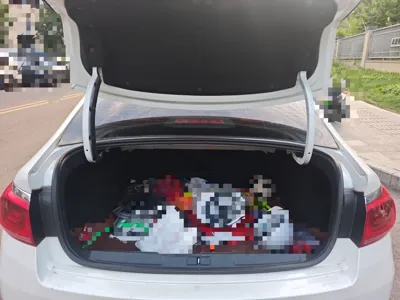 Citroen C4 Sega