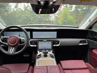 Hongqi Hongqi E-HS9