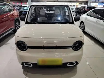 Galaxy Panda