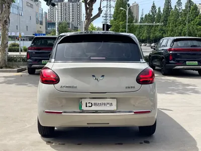 Wuling Bingo