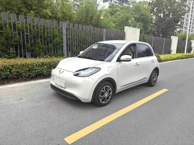 Wuling Bingo