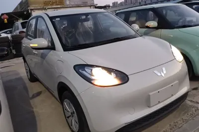 Wuling Bingo