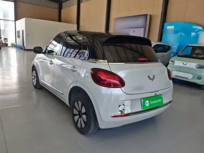 Wuling Bingo
