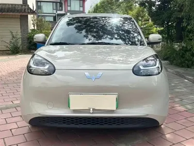 Wuling Bingo