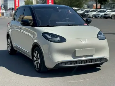 Wuling Bingo