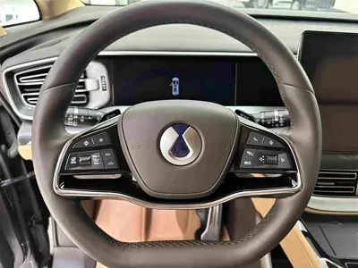 Denza Denza D9