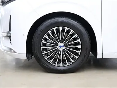 Denza Denza D9