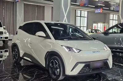 BYD Seagull