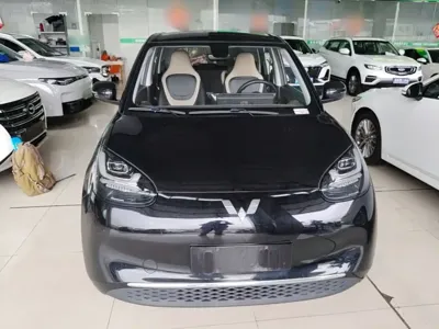 Wuling Bingo