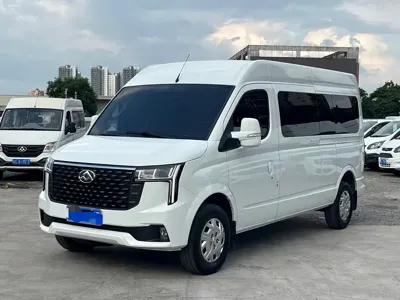 Maxus V80