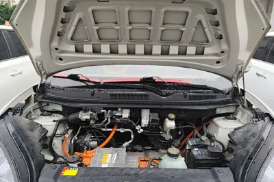 Wuling Bingo