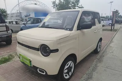 Geely Galaxy Panda