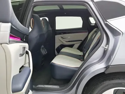 BYD PLUS New Energy