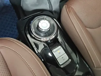 Wuling Bingo