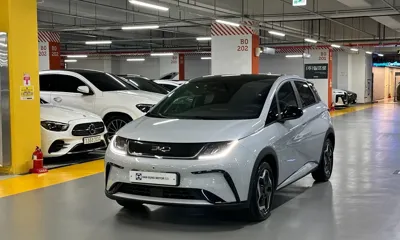 BYD Dolphin