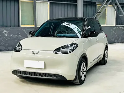 Wuling Bingo
