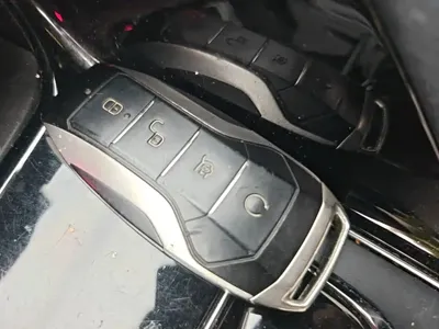 BYD PLUS
