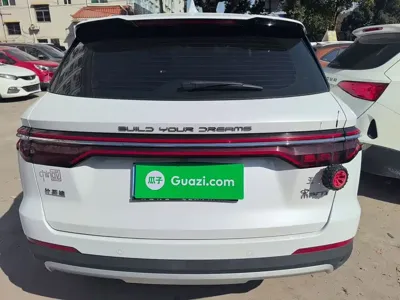 BYD Pro