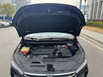 BYD MAX