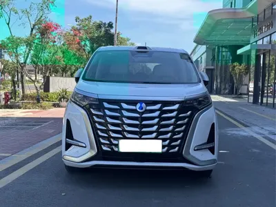 Denza Denza D9