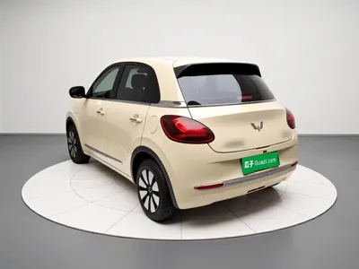 Wuling Bingo