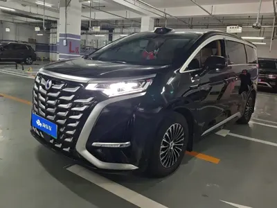 Denza Denza D9