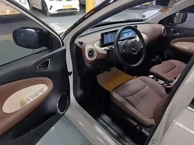 Wuling Bingo