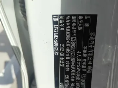 Leapmotor Leapmotor T03